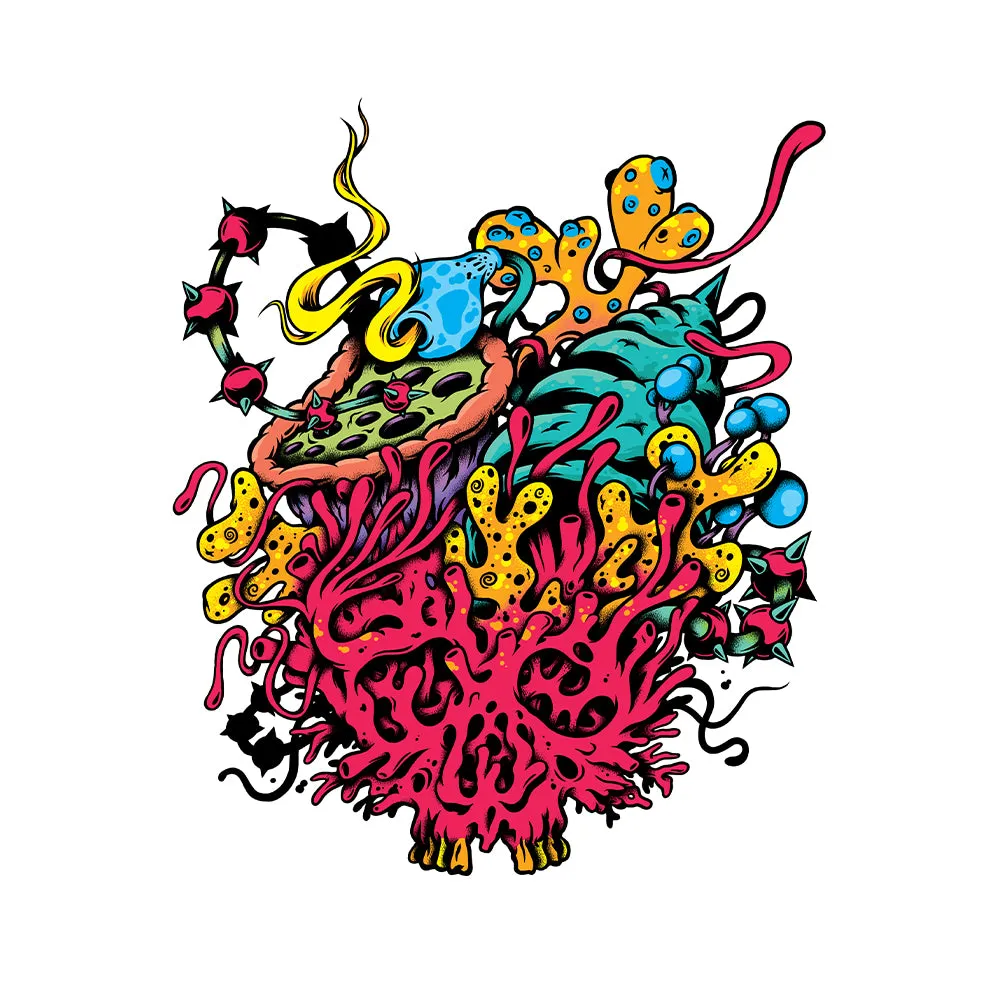 Coral Skull