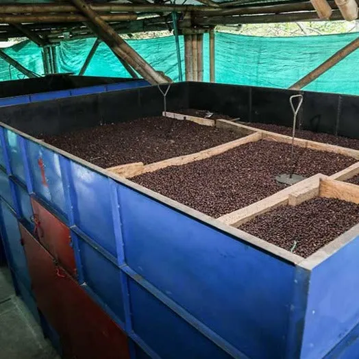 Granja La Esperanza Mandela Caribe Double Anaerobic Natural - Auction Lot 17B