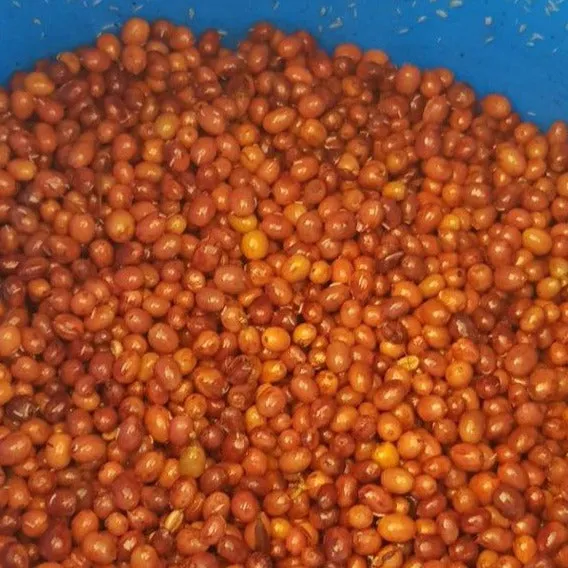Granja La Esperanza Mandela Caribe Double Anaerobic Natural - Auction Lot 17B