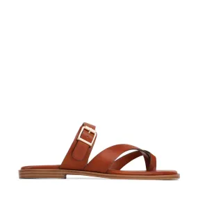 HACIE W - COGNAC