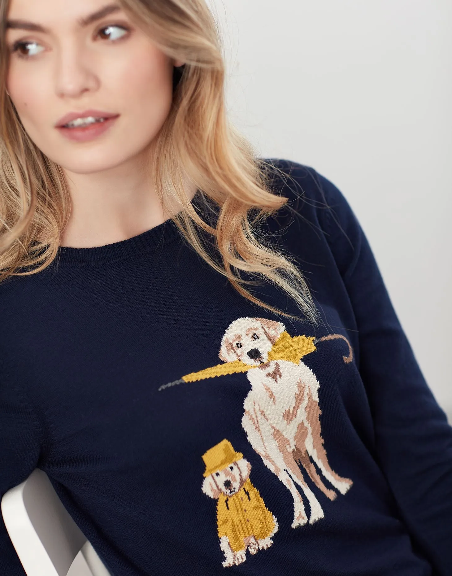 Joules | Dogs In The Rain Crew Neck Sweater | Women's