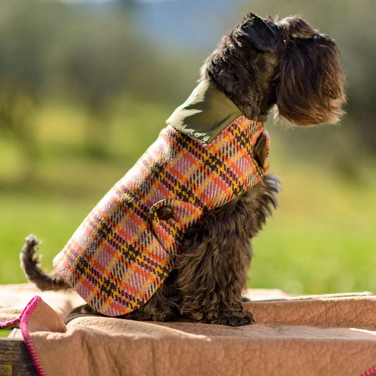 Personalized Bespoke Dog Coat/Raincoat Glam Sett