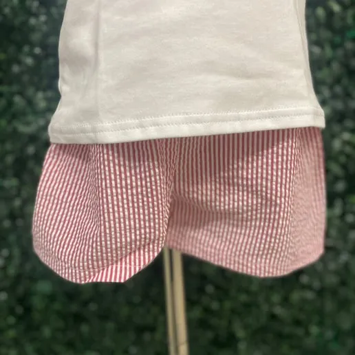 Red Seersucker Shorts